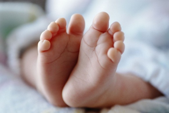 Um bebê recém-nascido foi encontrado abandonado no lixo na madrugada desta terça-feira (24), no povoado Azeitão, em São Bento