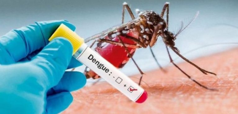 O Maranhão já registrou mais de 4.805 casos prováveis de dengue em 2025.
