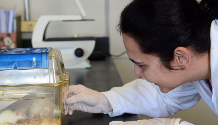 Tecidos feitos em laboratório podem aperfeiçoar testes de medicamentos