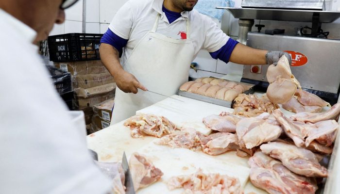 Brasil se declara país livre da gripe aviária