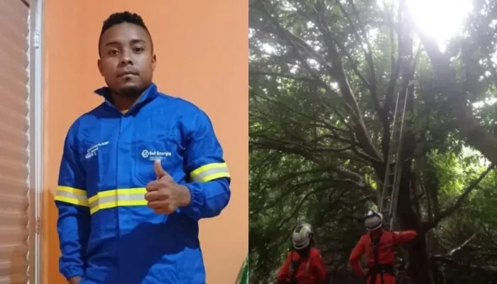 Maranhense desaparecido há dois meses é localizado em cima de árvore na Bahia.