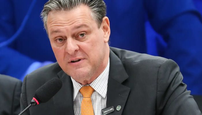 Gripe aviária não deve impactar preço da carne de frango, diz ministro