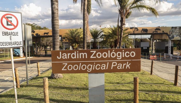 Zoológico de Brasília é fechado após suspeita de gripe aviária