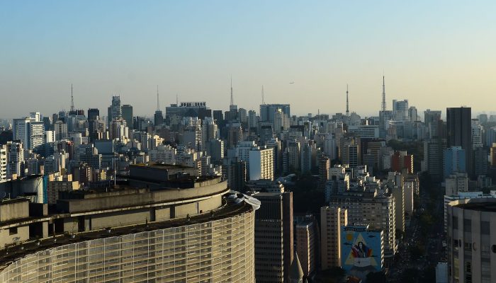 Prédios com vidraças nas cidades ameaçam aves, aponta pesquisa