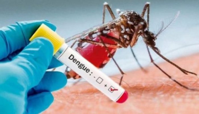 O Maranhão já registrou mais de 4.805 casos prováveis de dengue em 2025.